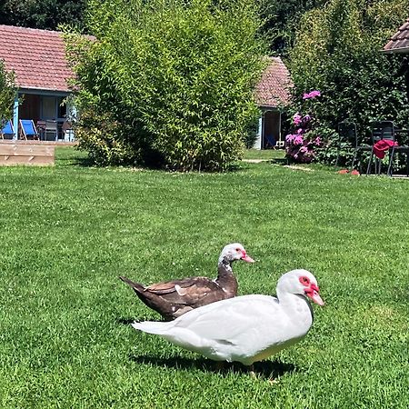 Le Pre Marin Villa Sotteville-sur-Mer Exteriör bild