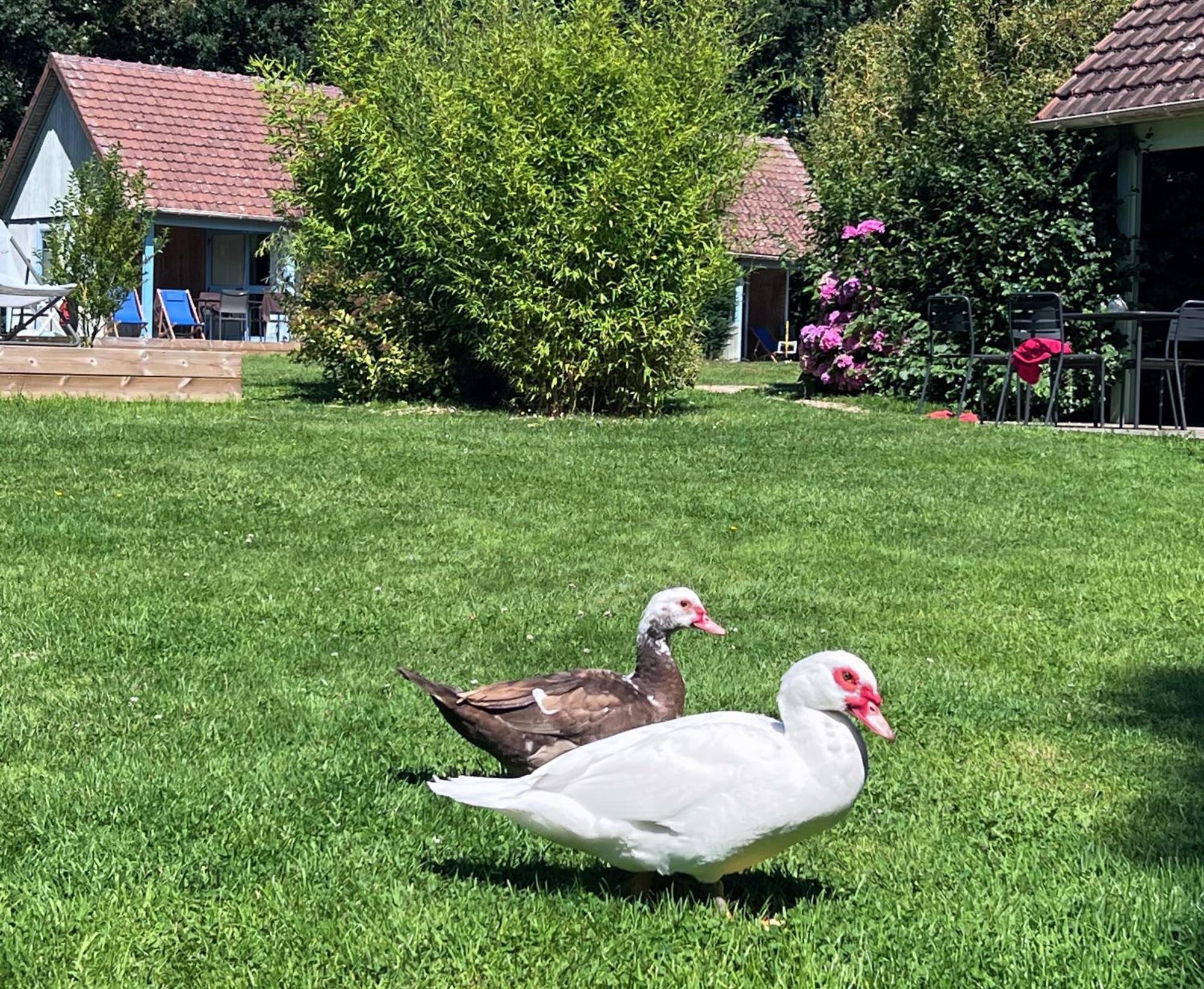Le Pre Marin Villa Sotteville-sur-Mer Exteriör bild